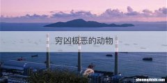 穷凶极恶的动物