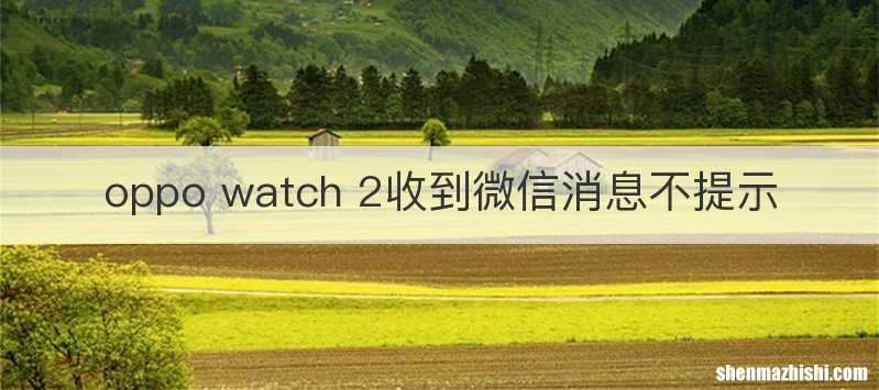 oppo watch 2收到微信消息不提示