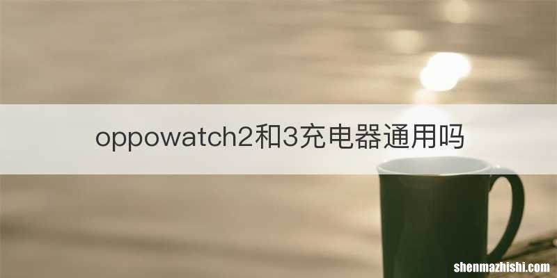 oppowatch2和3充电器通用吗