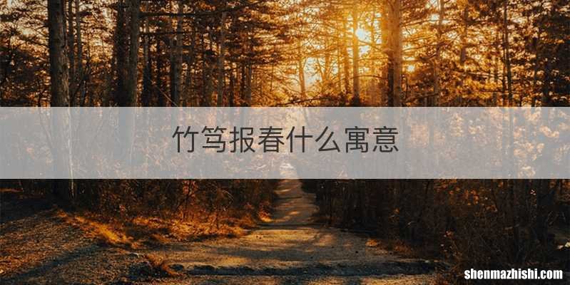 竹笃报春什么寓意