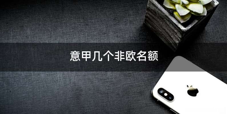 意甲几个非欧名额
