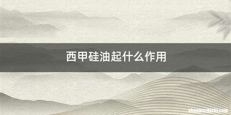 西甲硅油起什么作用