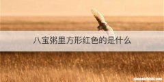 八宝粥里方形红色的是什么