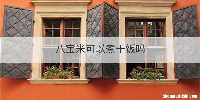 八宝米可以煮干饭吗