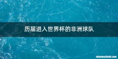 历届进入世界杯的非洲球队