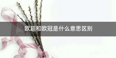 欧超和欧冠是什么意思区别