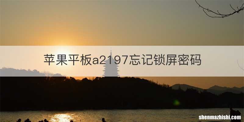 苹果平板a2197忘记锁屏密码