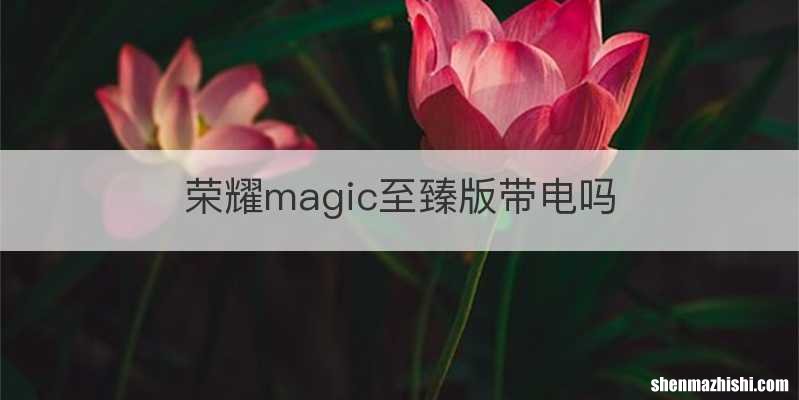 荣耀magic至臻版带电吗