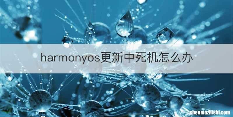 harmonyos更新中死机怎么办