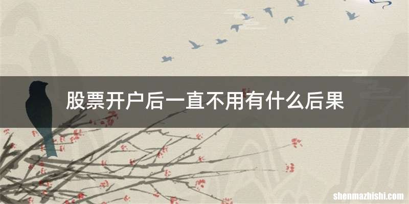 股票开户后一直不用有什么后果