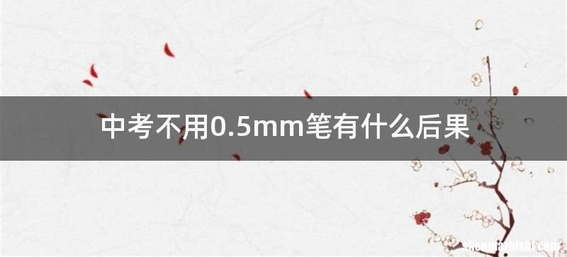 中考不用0.5mm笔有什么后果