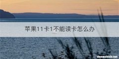 苹果11卡1不能读卡怎么办