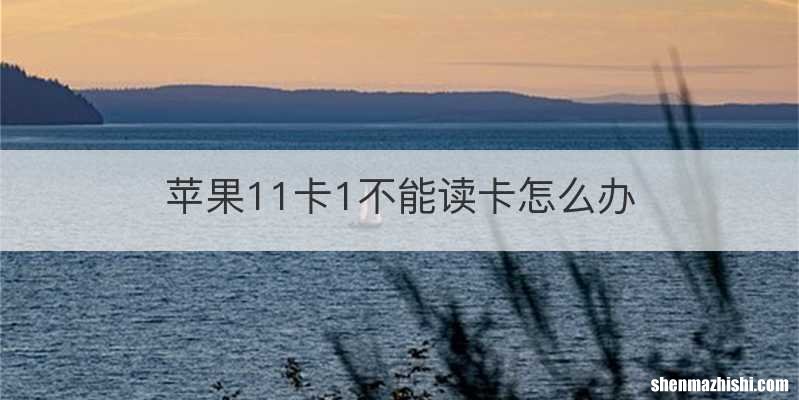 苹果11卡1不能读卡怎么办