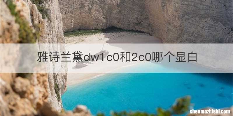 雅诗兰黛dw1c0和2c0哪个显白