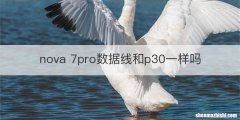 nova 7pro数据线和p30一样吗