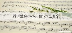 雅诗兰黛dw1c0和1c1选哪个