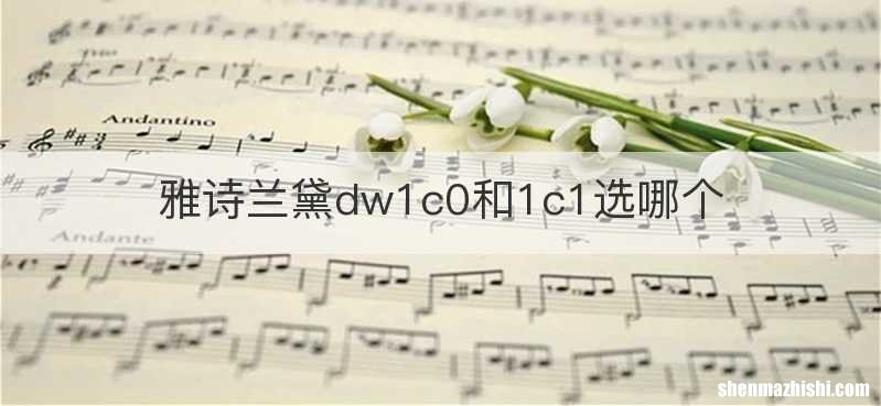 雅诗兰黛dw1c0和1c1选哪个