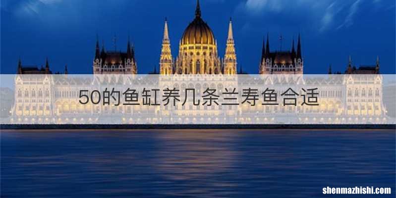 50的鱼缸养几条兰寿鱼合适