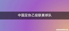 中国足协乙级联赛球队