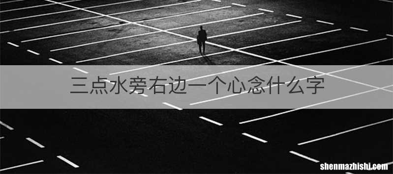三点水旁右边一个心念什么字