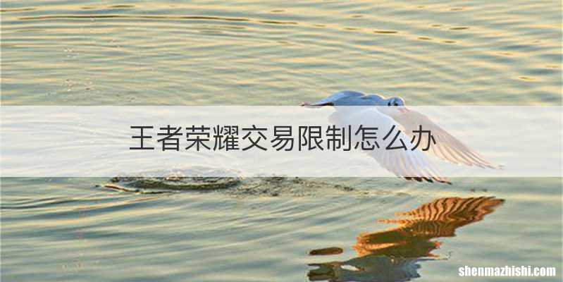 王者荣耀交易限制怎么办