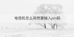 电视机怎么突然要输入pin码