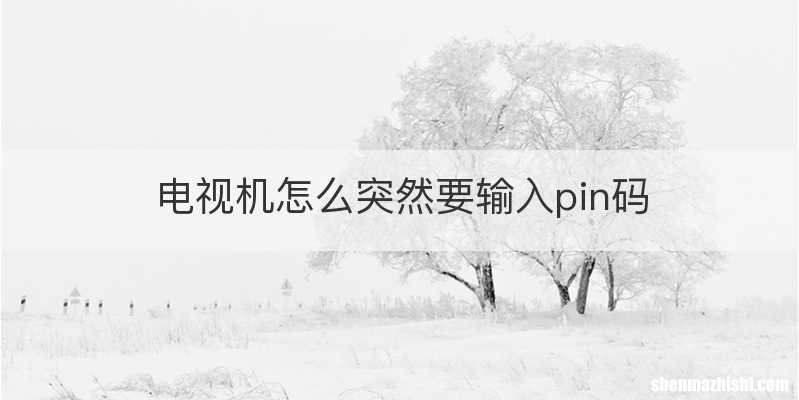电视机怎么突然要输入pin码