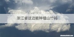 浙江省这边能种植山竹吗