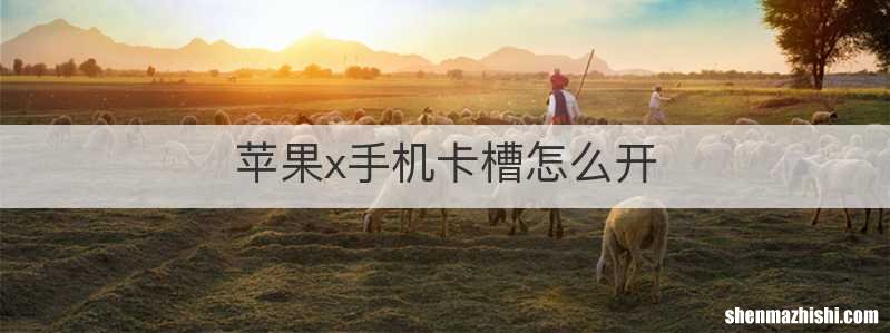 苹果x手机卡槽怎么开