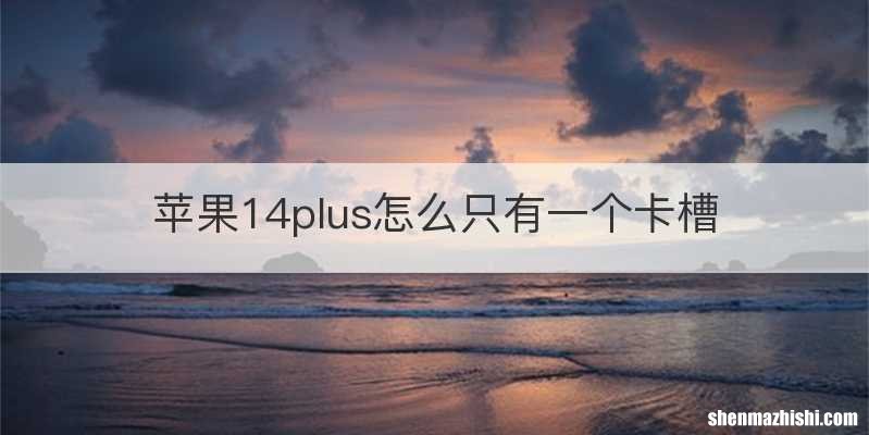 苹果14plus怎么只有一个卡槽