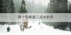 两个字都是三点水的字