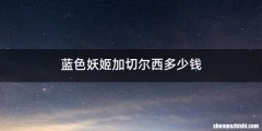 蓝色妖姬加切尔西多少钱