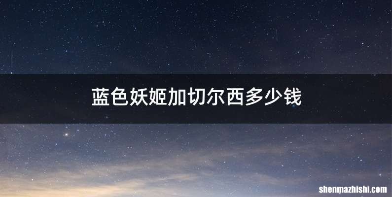 蓝色妖姬加切尔西多少钱