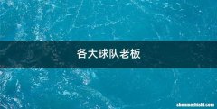 各大球队老板