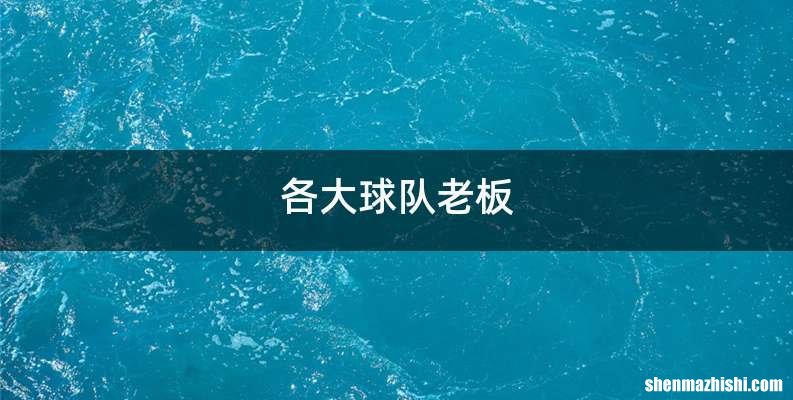 各大球队老板