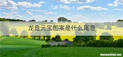 龙盘元宝图案是什么寓意