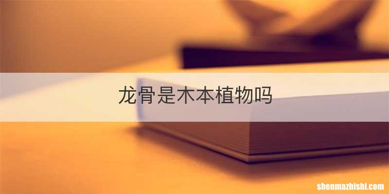 龙骨是木本植物吗