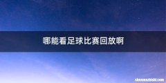 哪能看足球比赛回放啊