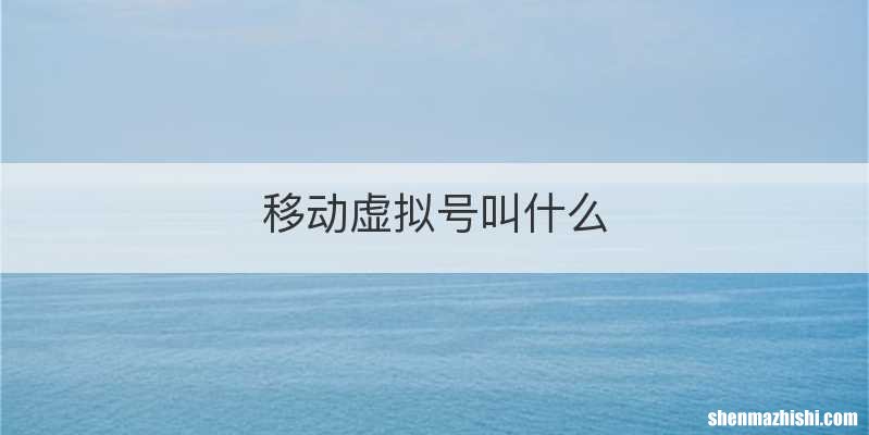 移动虚拟号叫什么