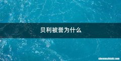 贝利被誉为什么