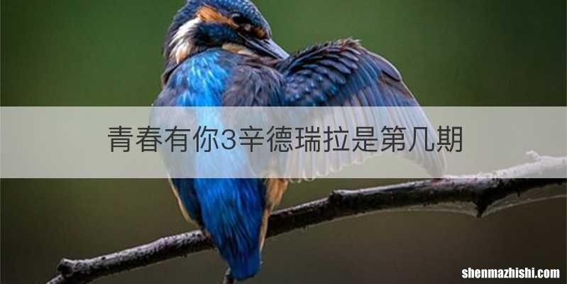 青春有你3辛德瑞拉是第几期