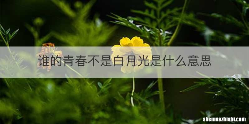 谁的青春不是白月光是什么意思