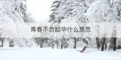 青春不负韶华什么意思