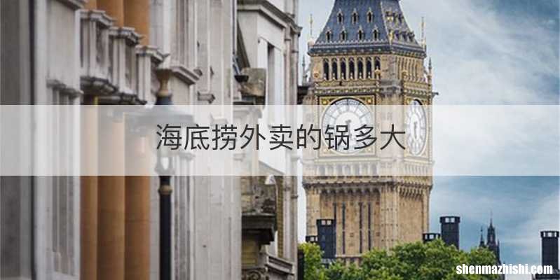 海底捞外卖的锅多大