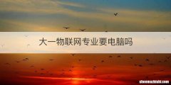 大一物联网专业要电脑吗