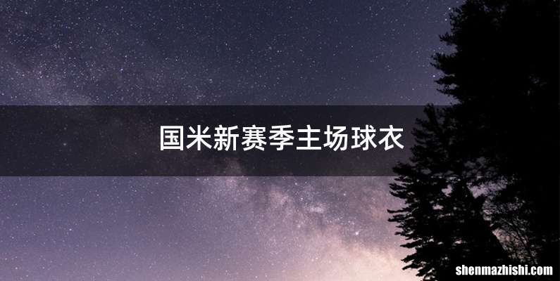 国米新赛季主场球衣