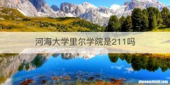 河海大学里尔学院是211吗