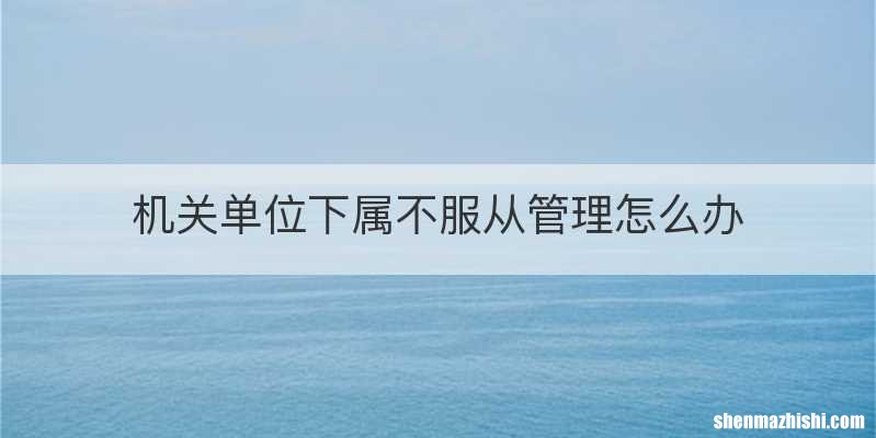 机关单位下属不服从管理怎么办