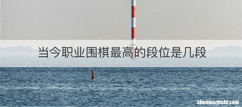 当今职业围棋最高的段位是几段