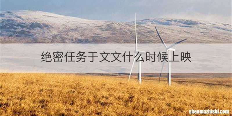 绝密任务于文文什么时候上映